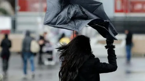 Pluie et vents violents 